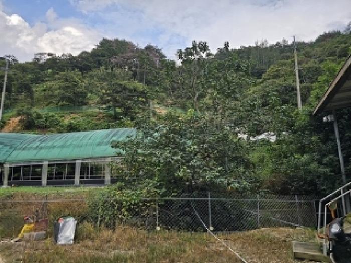 경상남도 진주시 미천면 안간리 183 외 6필지 동물및식물관련시설 경매 사진 14