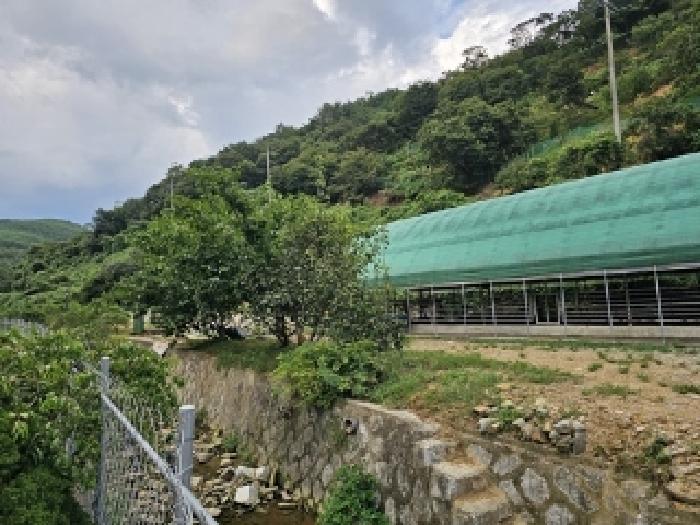 경상남도 진주시 미천면 안간리 183 외 6필지 동물및식물관련시설 경매 사진 15