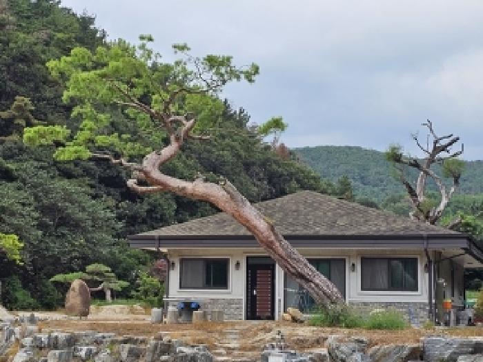 경상남도 진주시 미천면 안간리 183 외 6필지 동물및식물관련시설 경매 사진 25
