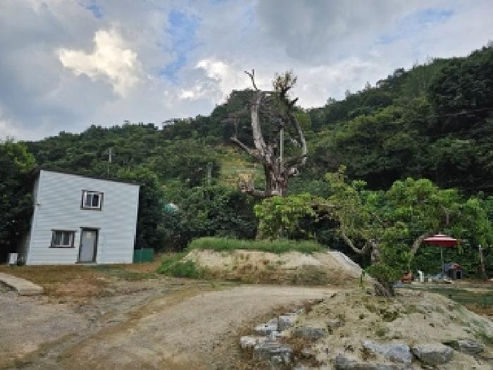 경상남도 진주시 미천면 안간리 183 외 6필지 동물및식물관련시설 경매 사진 26