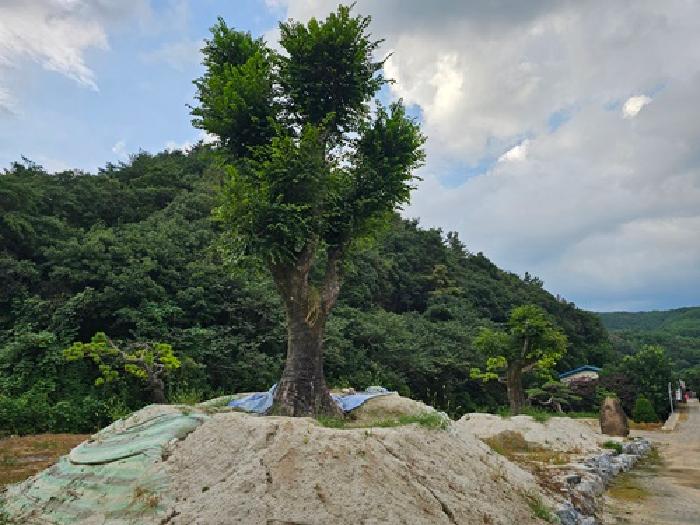 경상남도 진주시 미천면 안간리 183 외 6필지 동물및식물관련시설 경매 사진 4