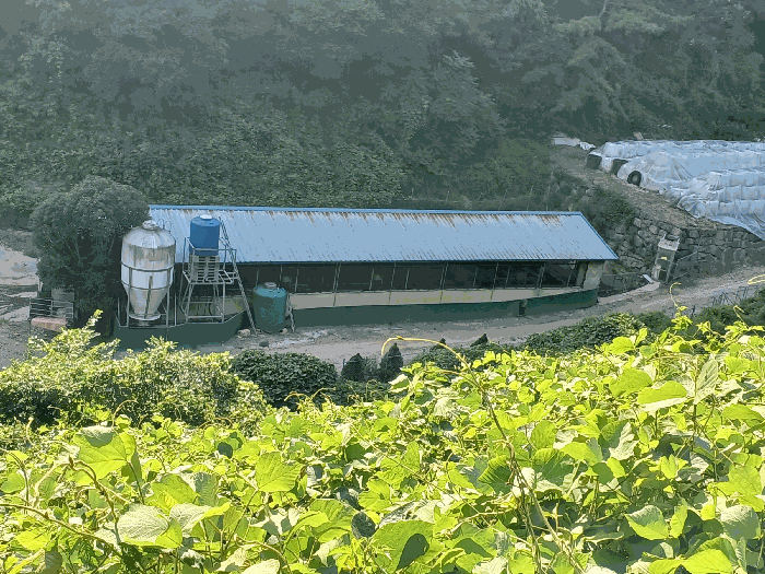 경상남도 진주시 미천면 안간리 183 외 6필지 동물및식물관련시설 경매 사진 35