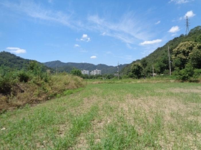 전북특별자치도 전주시 완산구 색장동 382-2 외 1필지 답 경매 사진 2