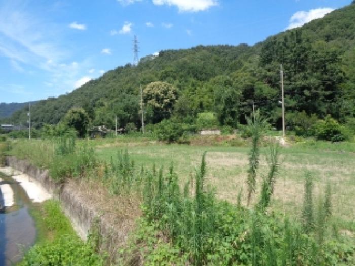 전북특별자치도 전주시 완산구 색장동 382-2 외 1필지 답 경매 사진 7
