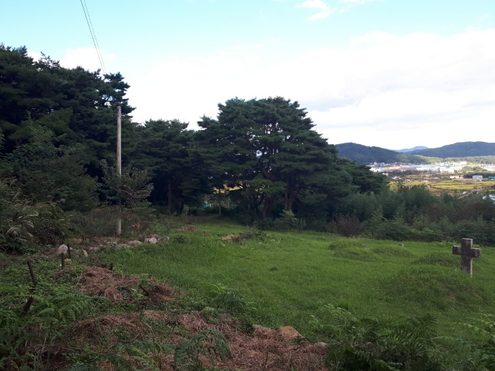 울산광역시 울주군 상북면 길천리 1127 임야 경매 사진 18