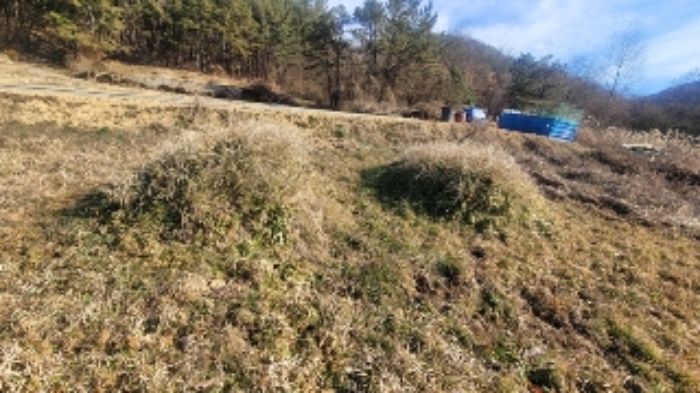 경상남도 함안군 대산면 서촌리 455 전 경매 사진 3