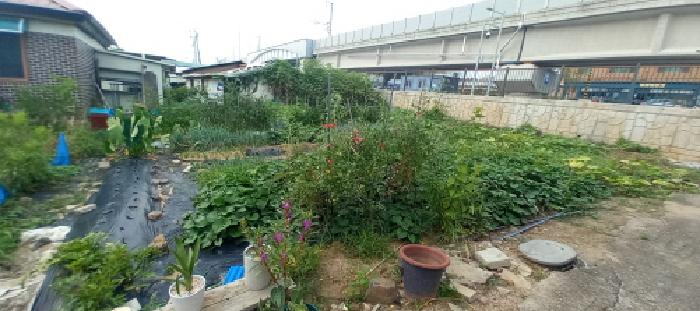 경기도 연천군 전곡읍 전곡리 452-5 외 3필지 대지 경매 사진 1