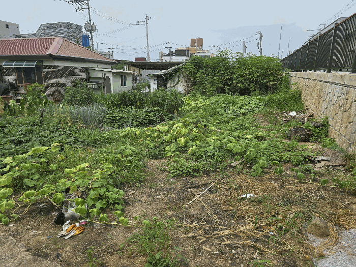 경기도 연천군 전곡읍 전곡리 452-5 외 3필지 대지 경매 사진 10