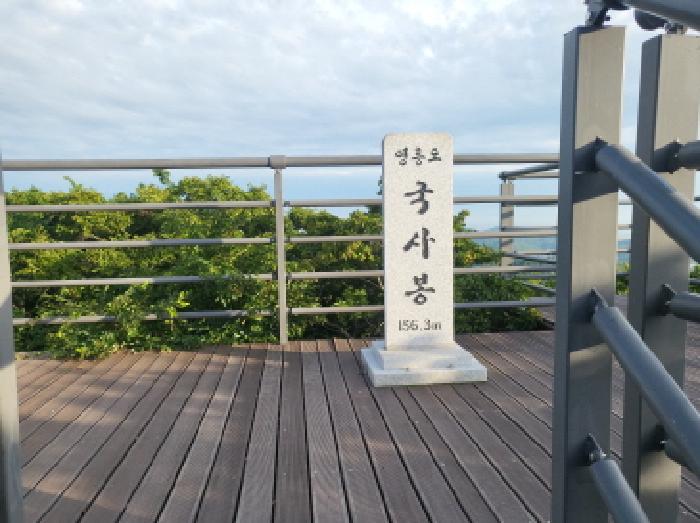 인천광역시 옹진군 영흥면 내리 1311-2 외 27필지 임야 경매 사진 16
