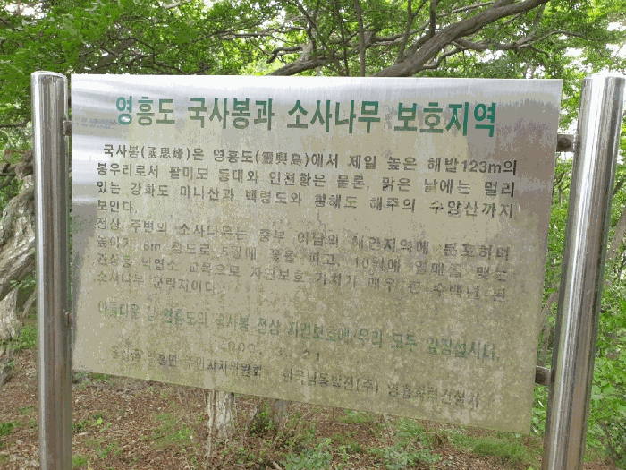 인천광역시 옹진군 영흥면 내리 1311-2 외 27필지 임야 경매 사진 27