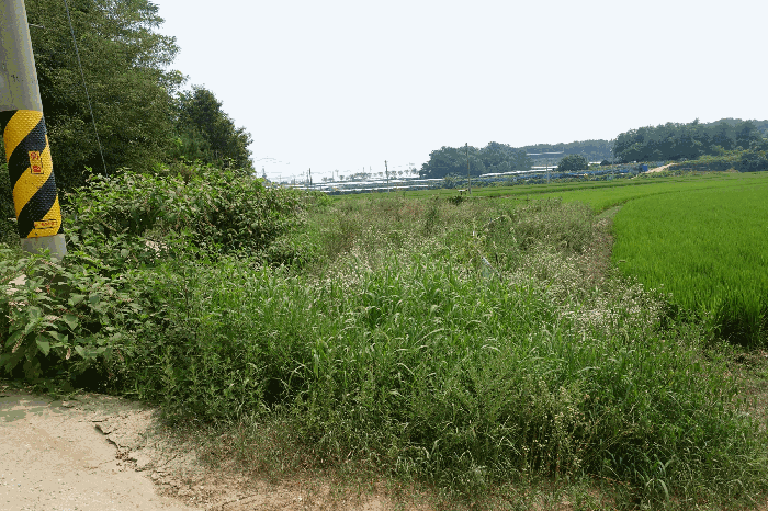 경기도 화성시 송산면 고정리 765 임야 경매 사진 8