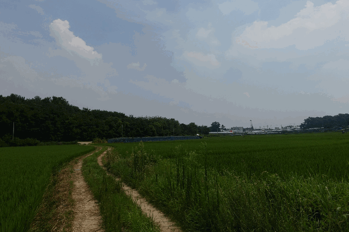 경기도 화성시 송산면 고정리 765 임야 경매 사진 9