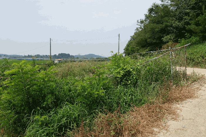 경기도 화성시 송산면 고정리 765 임야 경매 사진 10