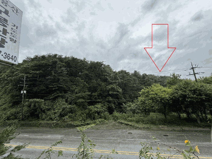 강원특별자치도 춘천시 동면 감정리 412 외 1필지 전 경매 사진 4