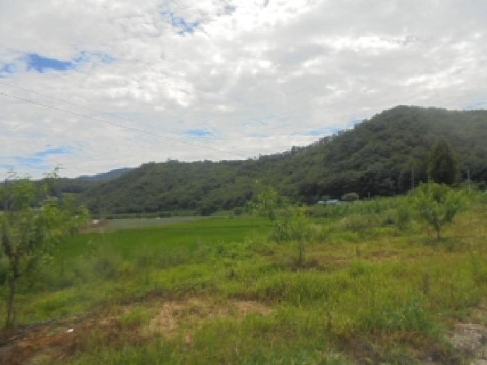 충청북도 음성군 감곡면 문촌리 산2-2 임야 경매 사진 8