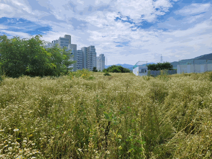 충청북도 제천시 왕암동 89-28 외 2필지 전 경매 사진 11