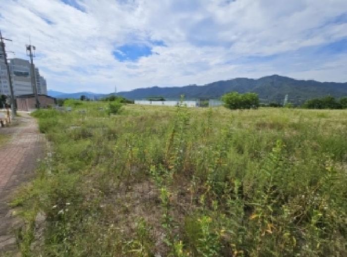 충청북도 제천시 왕암동 89-28 외 2필지 전 경매 사진 6