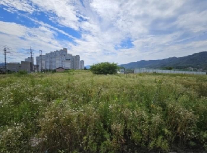 충청북도 제천시 왕암동 89-28 외 2필지 전 경매 사진 8