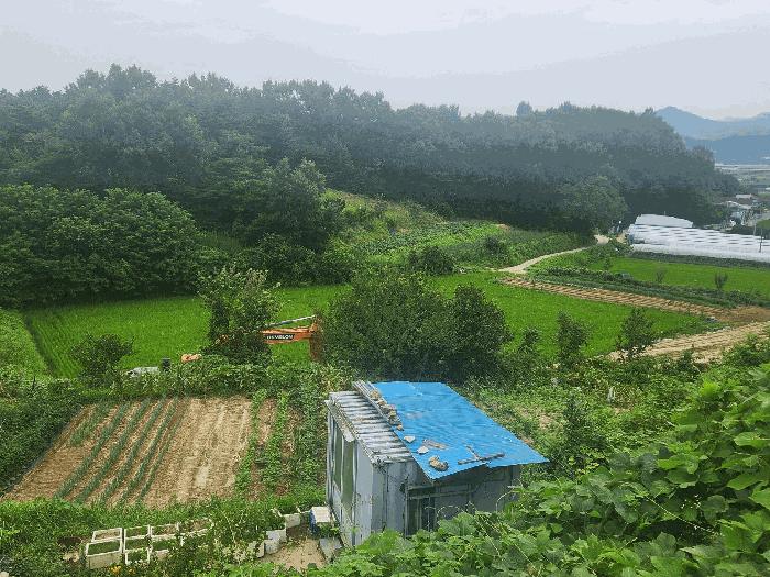 충청남도 금산군 금성면 양전리 403 전 경매 사진 6