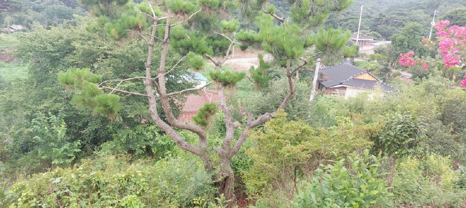 충청남도 홍성군 홍성읍 월산리 720-1 외 2필지 근린생활시설 경매 사진 15