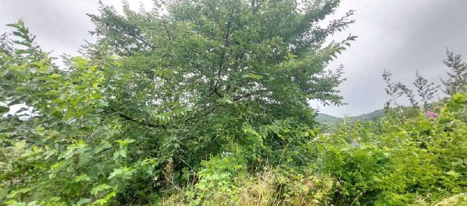 충청남도 홍성군 홍성읍 월산리 720-1 외 2필지 근린생활시설 경매 사진 17