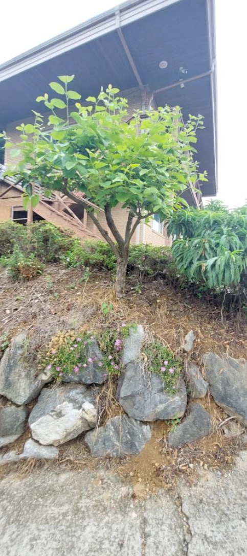 충청남도 홍성군 홍성읍 월산리 720-1 외 2필지 근린생활시설 경매 사진 20