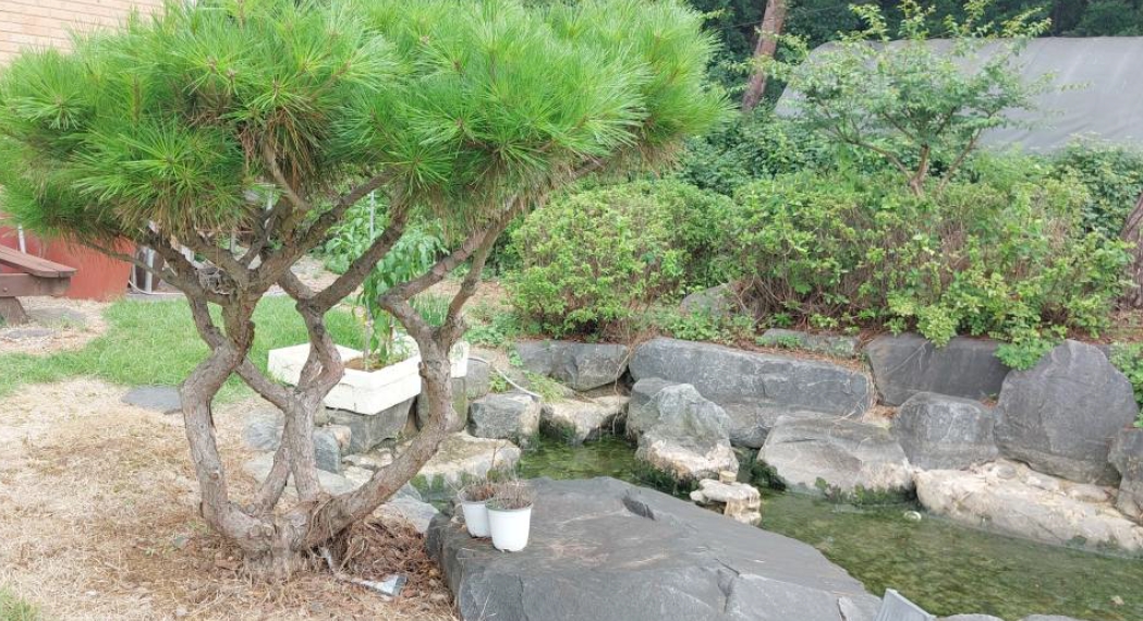 충청남도 홍성군 홍성읍 월산리 720-1 외 2필지 근린생활시설 경매 사진 38