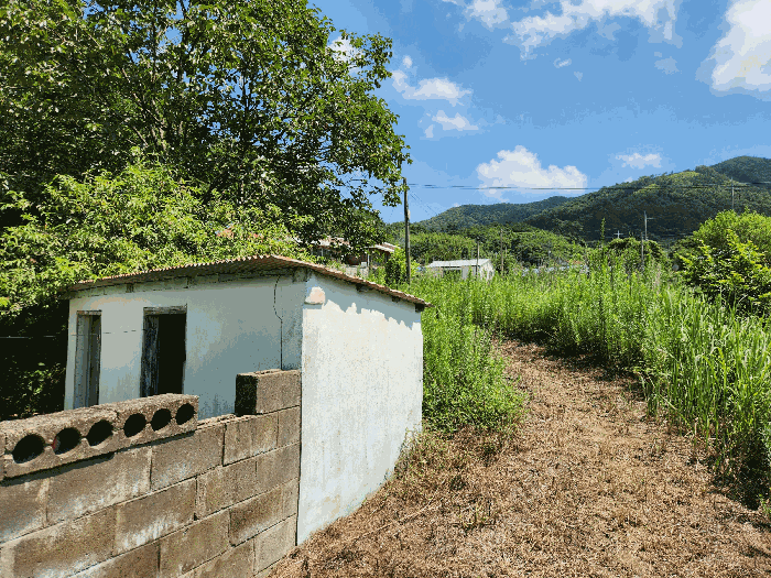 충청남도 보령시 미산면 내평리 192-2 답 경매 사진 5