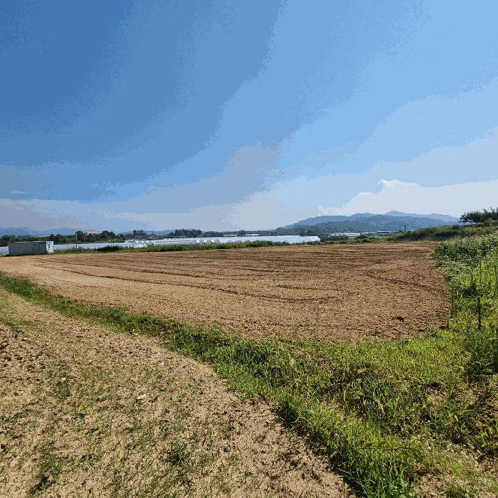 경상북도 김천시 아포읍 국사리 777-23 전 경매 사진 13