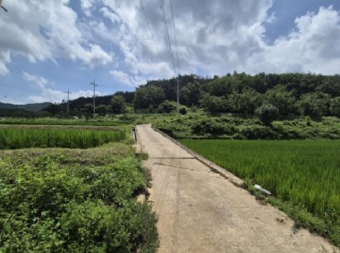 경상북도 포항시 북구 기북면 대곡리 527-2 답 경매 사진 10