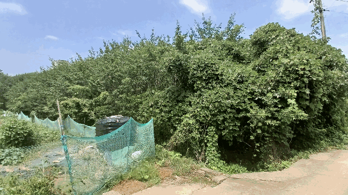 경상남도 진주시 가좌동 85-1 답 경매 사진 19