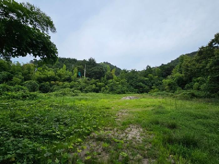 경상남도 하동군 하동읍 비파리 334-8 대지 경매 사진 9