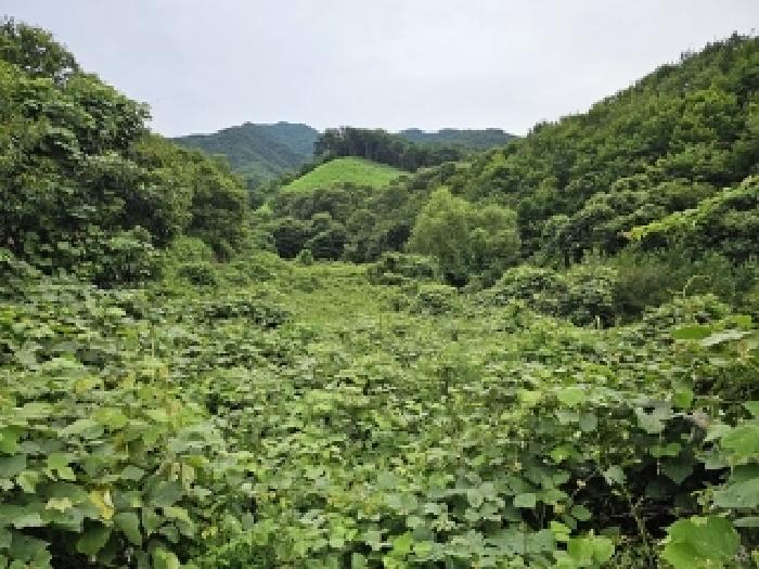 경상남도 하동군 화개면 탑리 150-1 외 2필지 답 경매 사진 1