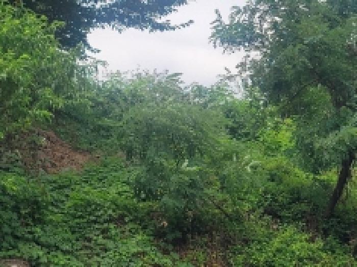 경상남도 통영시 산양읍 영운리 537 전 경매 사진 15