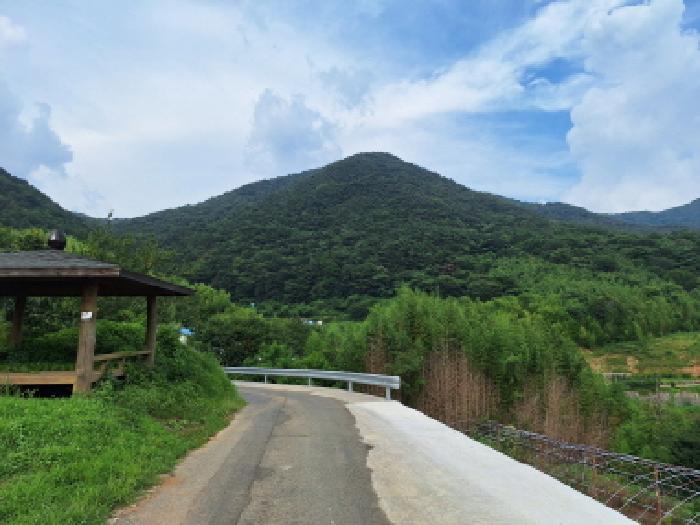 전라남도 순천시 승주읍 도정리 산263 임야 경매 사진 12