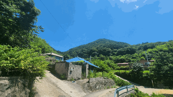 전라남도 순천시 승주읍 도정리 산263 임야 경매 사진 16