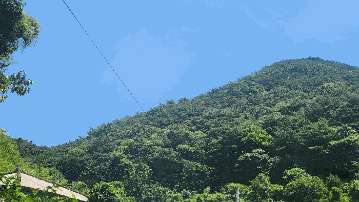 전라남도 순천시 승주읍 도정리 산263 임야 경매 사진 18