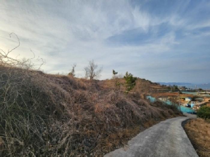 전라남도 여수시 돌산읍 우두리 290-13 전 경매 사진 6