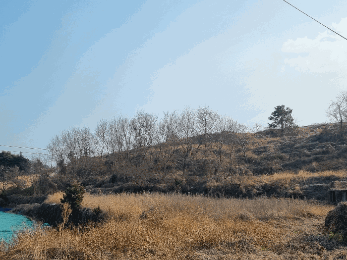 전라남도 여수시 돌산읍 우두리 290-13 전 경매 사진 7