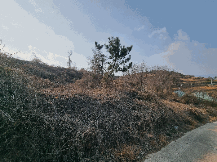 전라남도 여수시 돌산읍 우두리 290-13 전 경매 사진 8