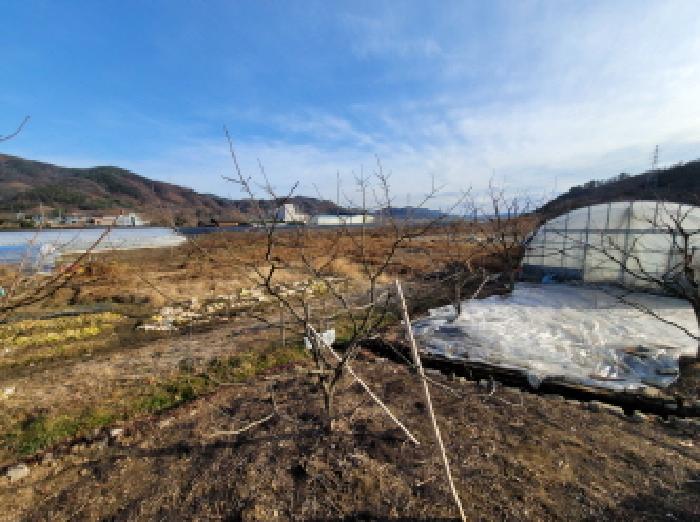 전라남도 광양시 진상면 섬거리 458-4 답 경매 사진 3