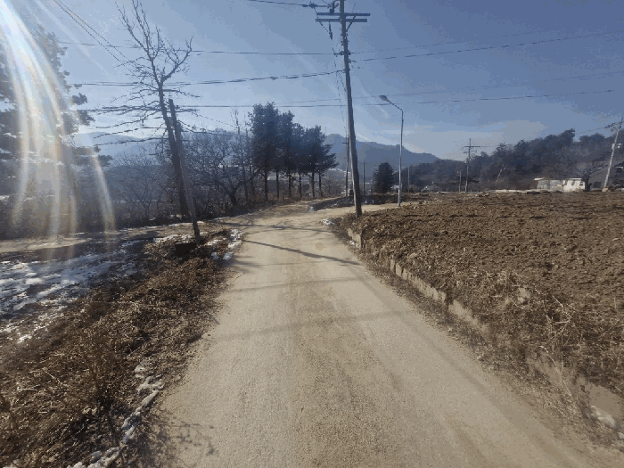 강원특별자치도 평창군 용평면 재산리 1351-23 외 1필지 전 경매 사진 6