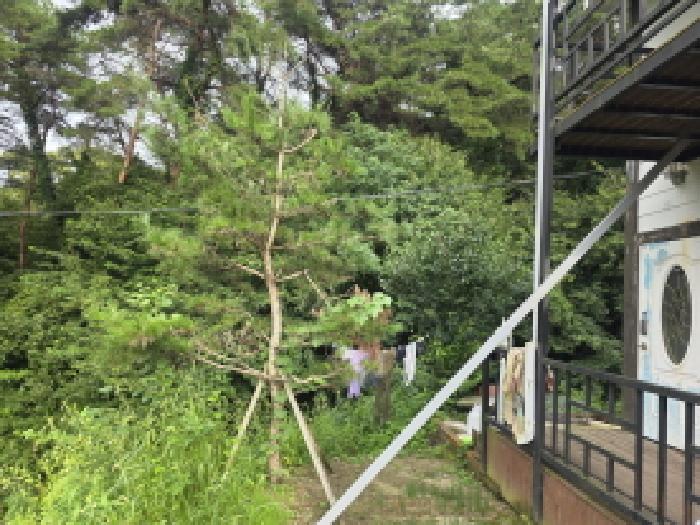 충청북도 제천시 백운면 원월리 351 외 3필지 단독주택 경매 사진 23