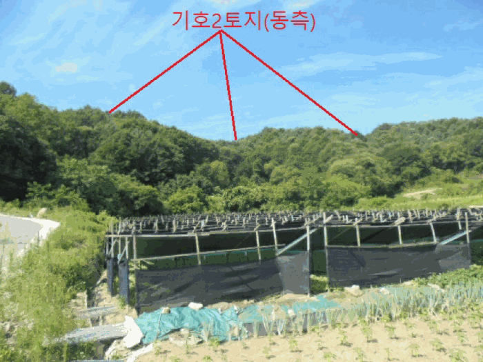충청북도 제천시 백운면 원월리 351 외 3필지 단독주택 경매 사진 25