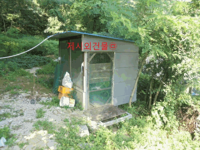 충청북도 제천시 백운면 원월리 351 외 3필지 단독주택 경매 사진 40