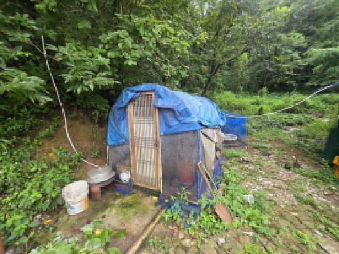 충청북도 제천시 백운면 원월리 351 외 3필지 단독주택 경매 사진 6