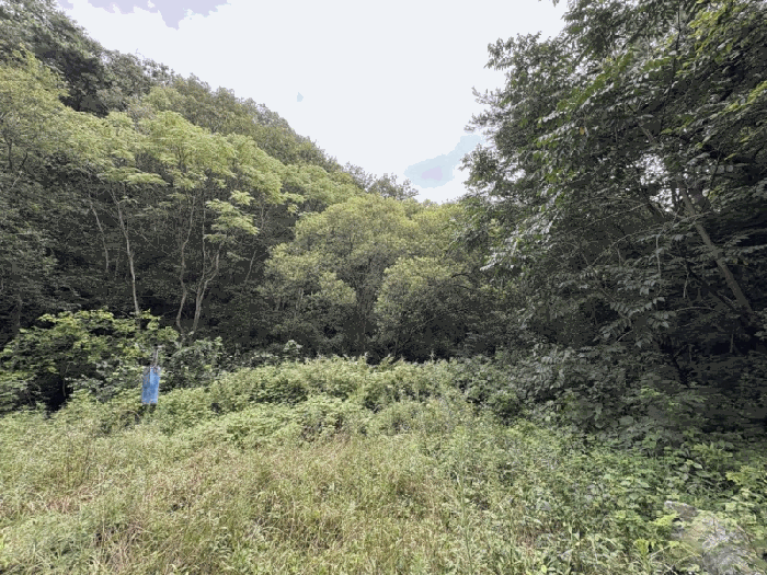충청북도 옥천군 청성면 고당리 411 외 2필지 답 경매 사진 13
