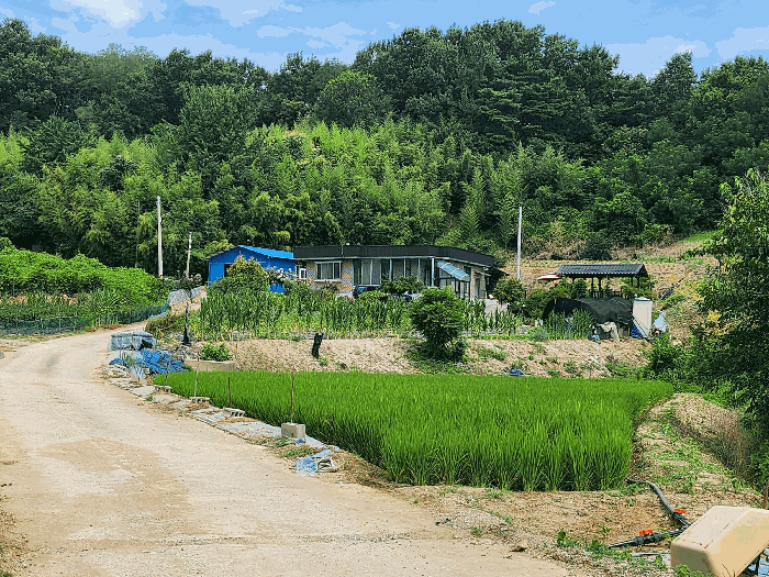 충청남도 홍성군 금마면 부평리 592 전 경매 사진 23