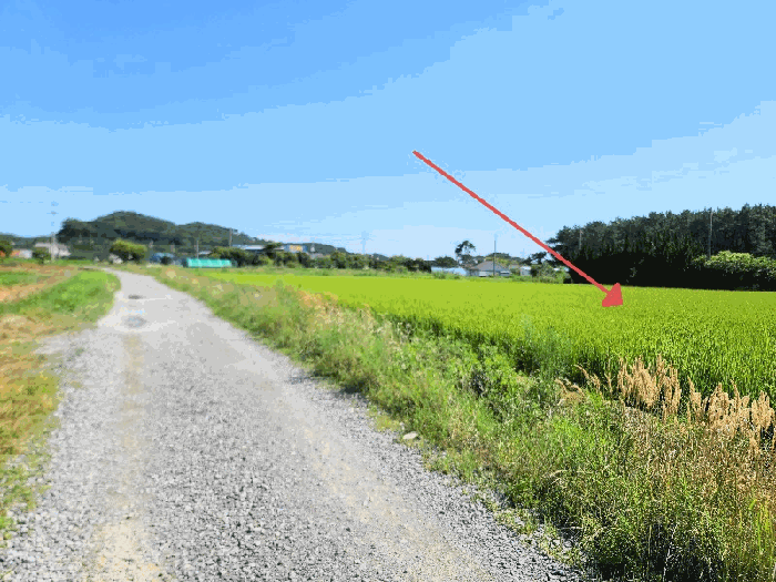 충청남도 태안군 안면읍 창기리 1262-170 전답 경매 사진 8