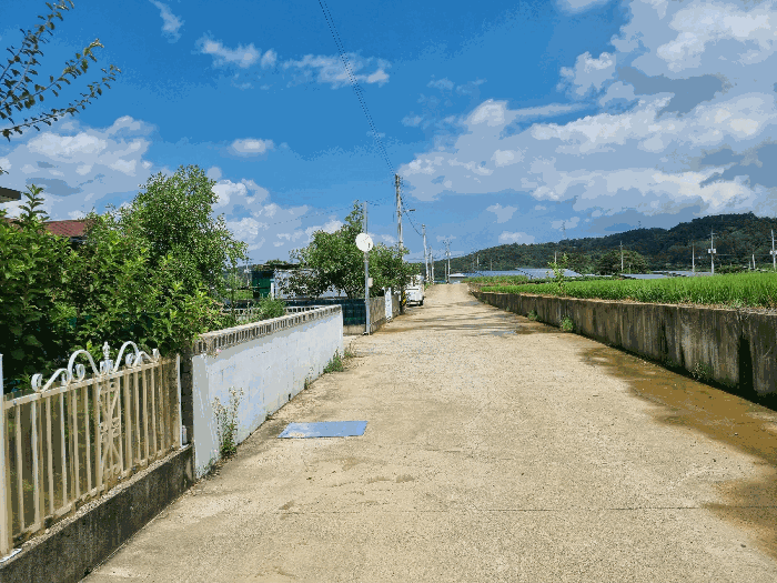 경상북도 영천시 임고면 우항리 510-6 외 6필지 답 경매 사진 13